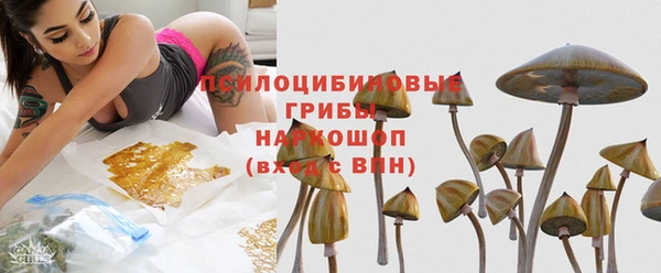 jwh Каменногорск