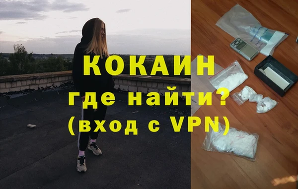 сатива Каменка