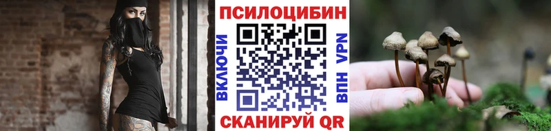 купить наркотик  Барнаул  Галлюциногенные грибы Psilocybe 